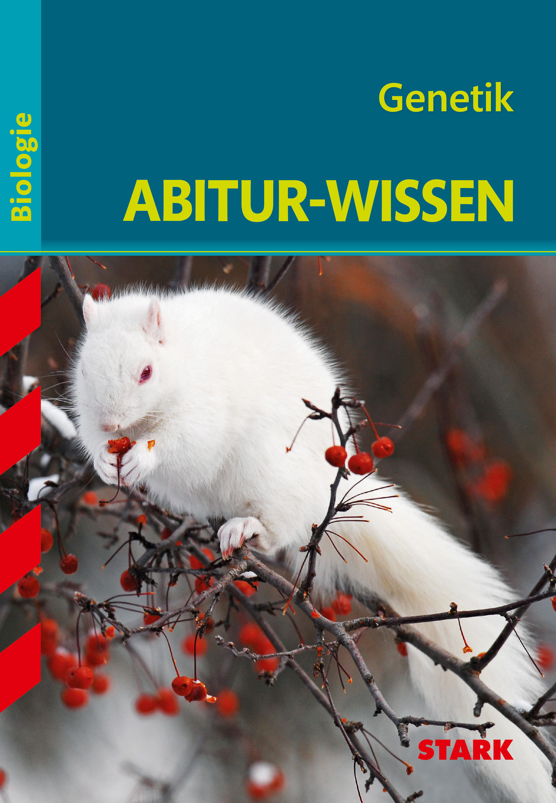 STARK Abitur-Wissen - Biologie - Genetik