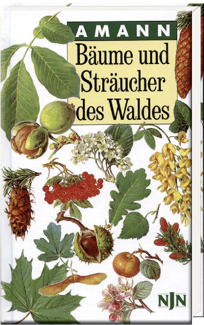 Bäume und Sträucher des Waldes