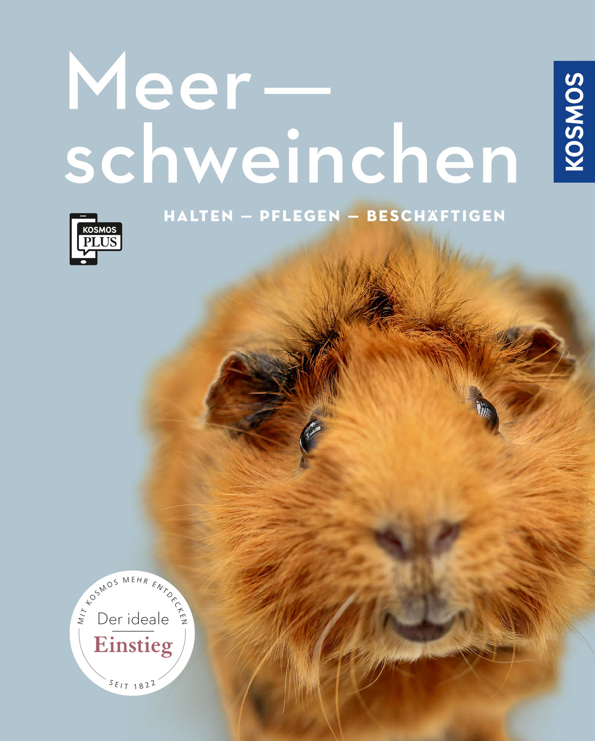 Meerschweinchen