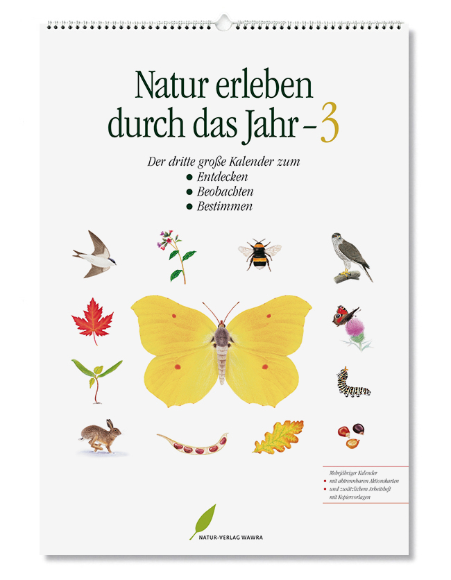 Natur erleben durch das Jahr - 3